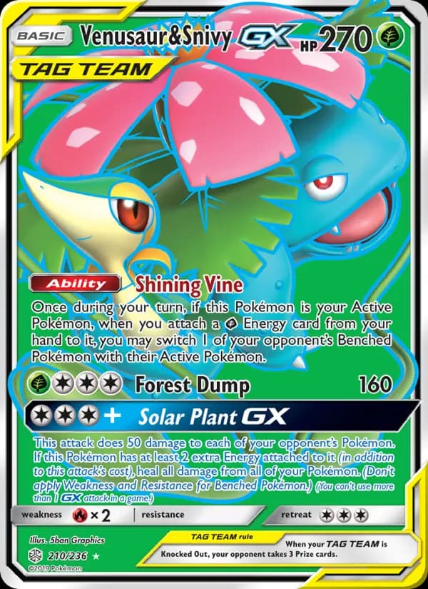 Venusaur & Snivy GX