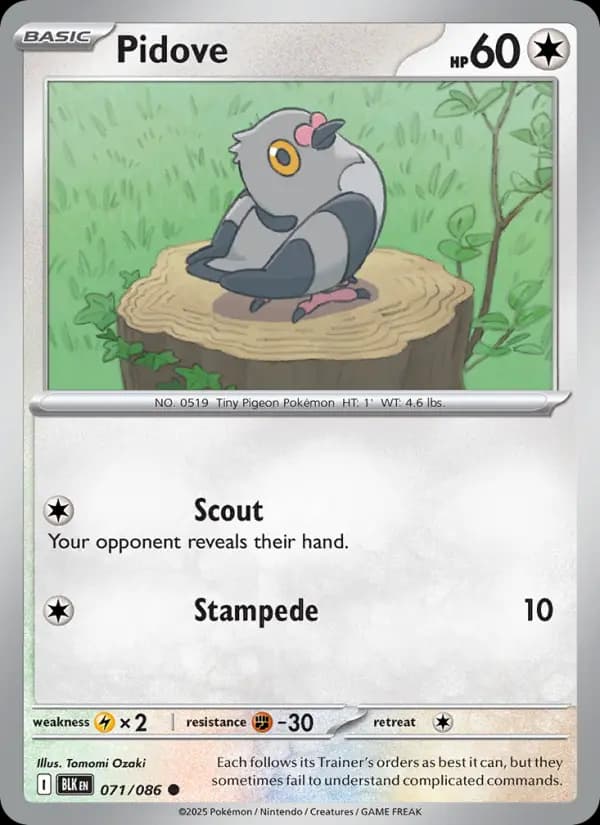 Pidove