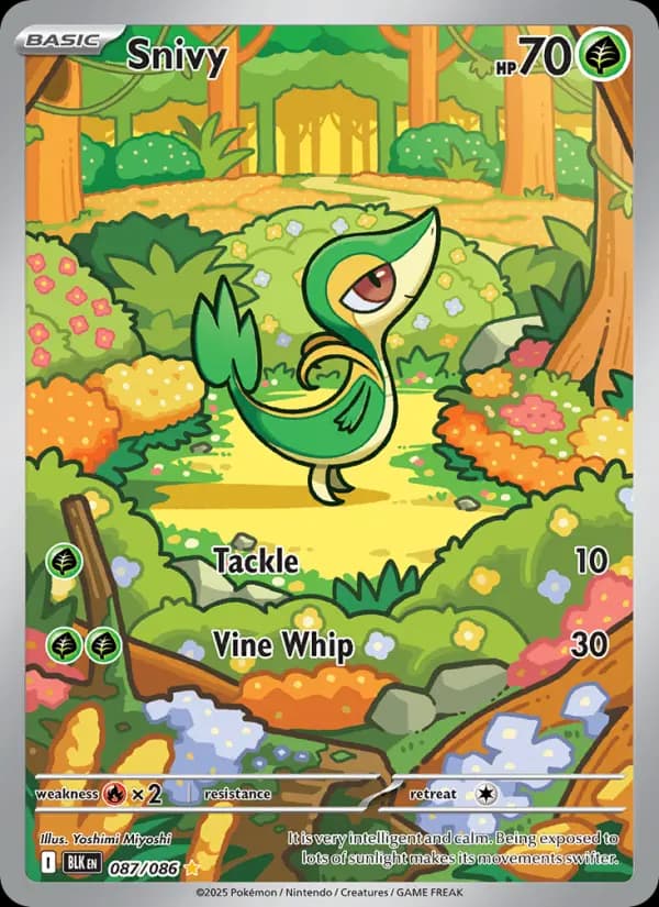 Snivy