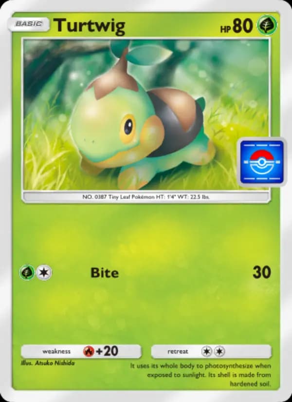 Turtwig