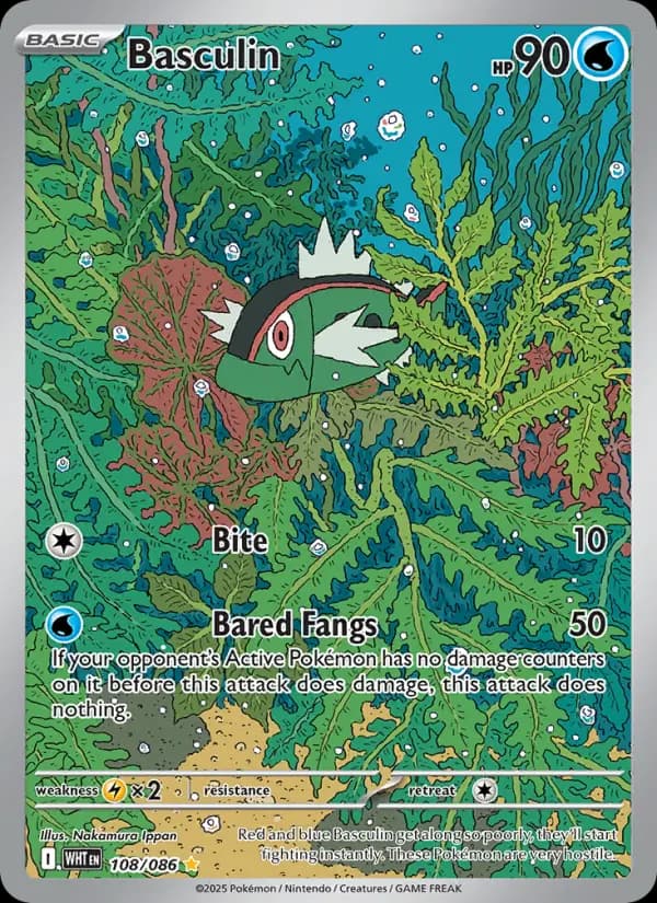 Basculin